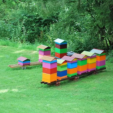Apartmán Haus Pflaum