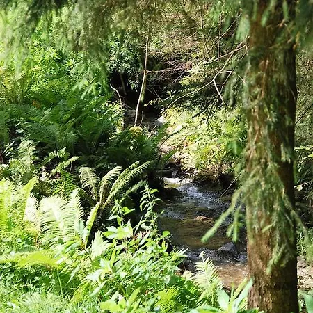 Haus Pflaum Διαμέρισμα Dellach im Drautal